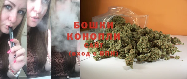 ешки Верхний Тагил