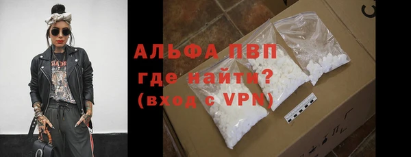 PSILOCYBIN Вязники