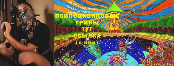 эйфоретик Верея