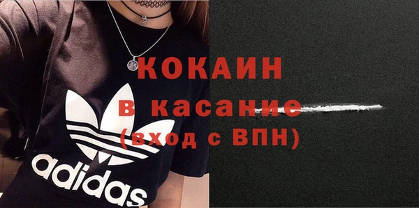 PSILOCYBIN Вязники