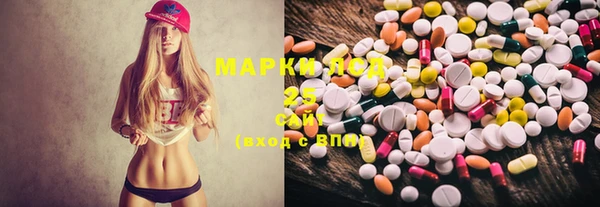 PSILOCYBIN Вязники