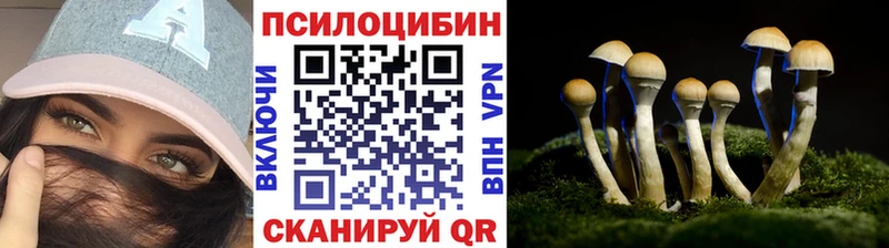 сколько стоит  Слободской  Галлюциногенные грибы Magic Shrooms 